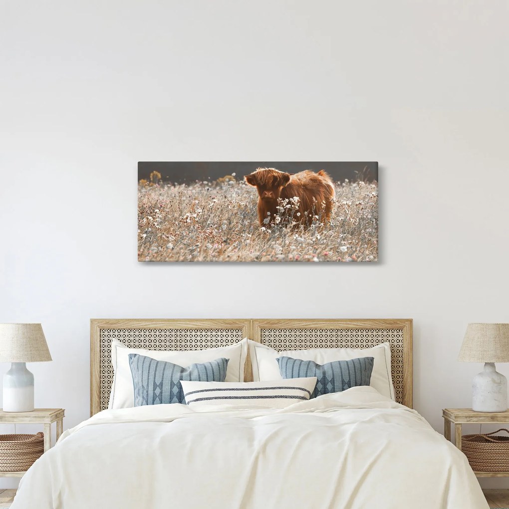 Kép - Skót tehén a virágban (120x50 cm)