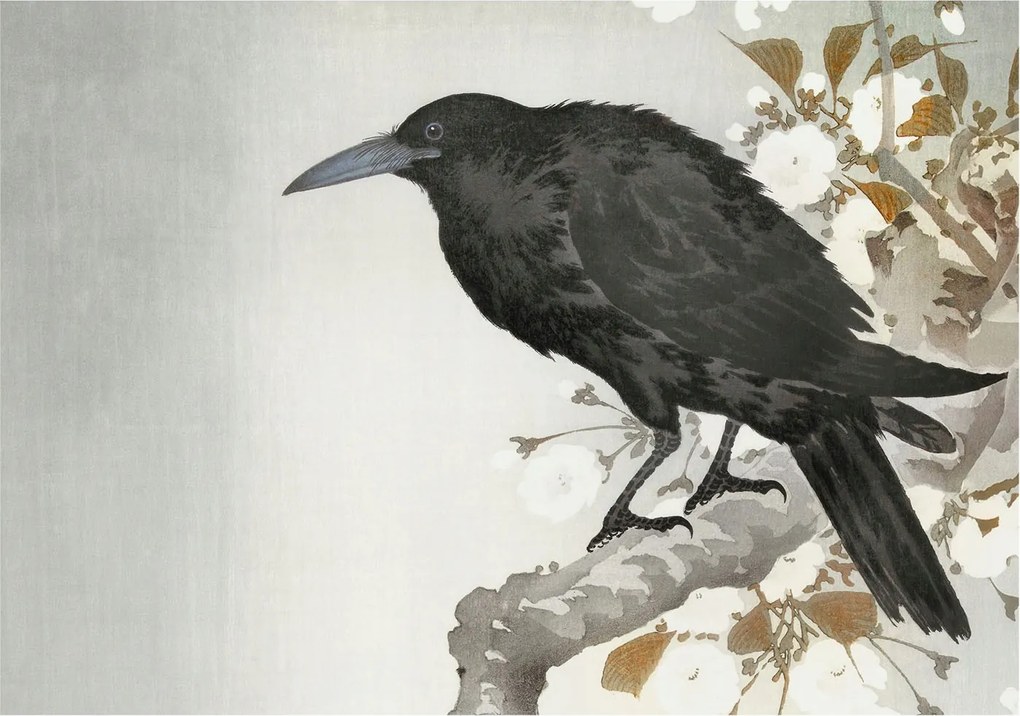 Stílusos Dekoratív Fotótapéta Flizelin Holló virágokkal 208x146 Ragasztó