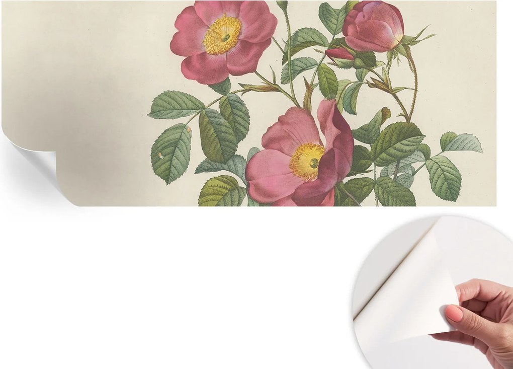 Dekoratív öntapadós fotótapéta Hálószobába Rózsa motívum 250x104 cm