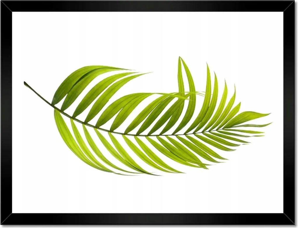 Poszterek keretben 40x30 Zöld levél Minimalizmus