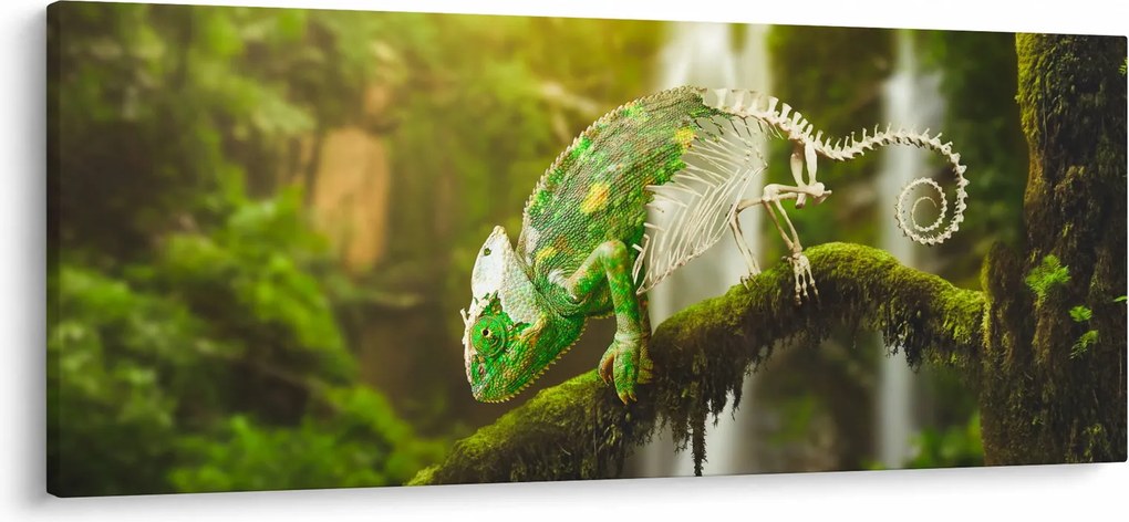 Kaméleon képe (120x50 cm)