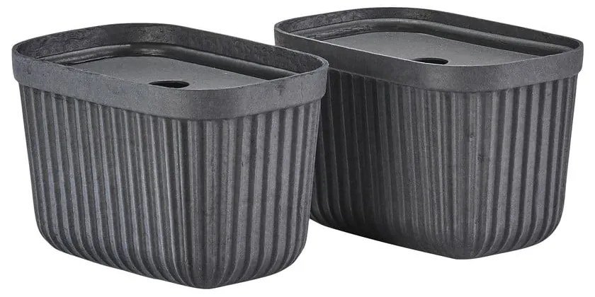 Tárolókosár szett 2 db-os 23x16x20.5 cm Pulp – Zone