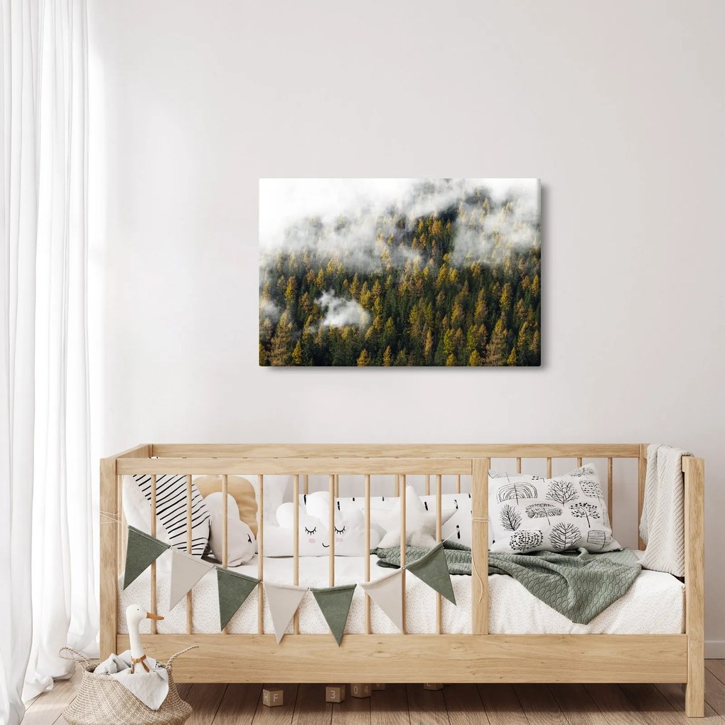 Egy erdő képe a felhők között (90x60 cm)