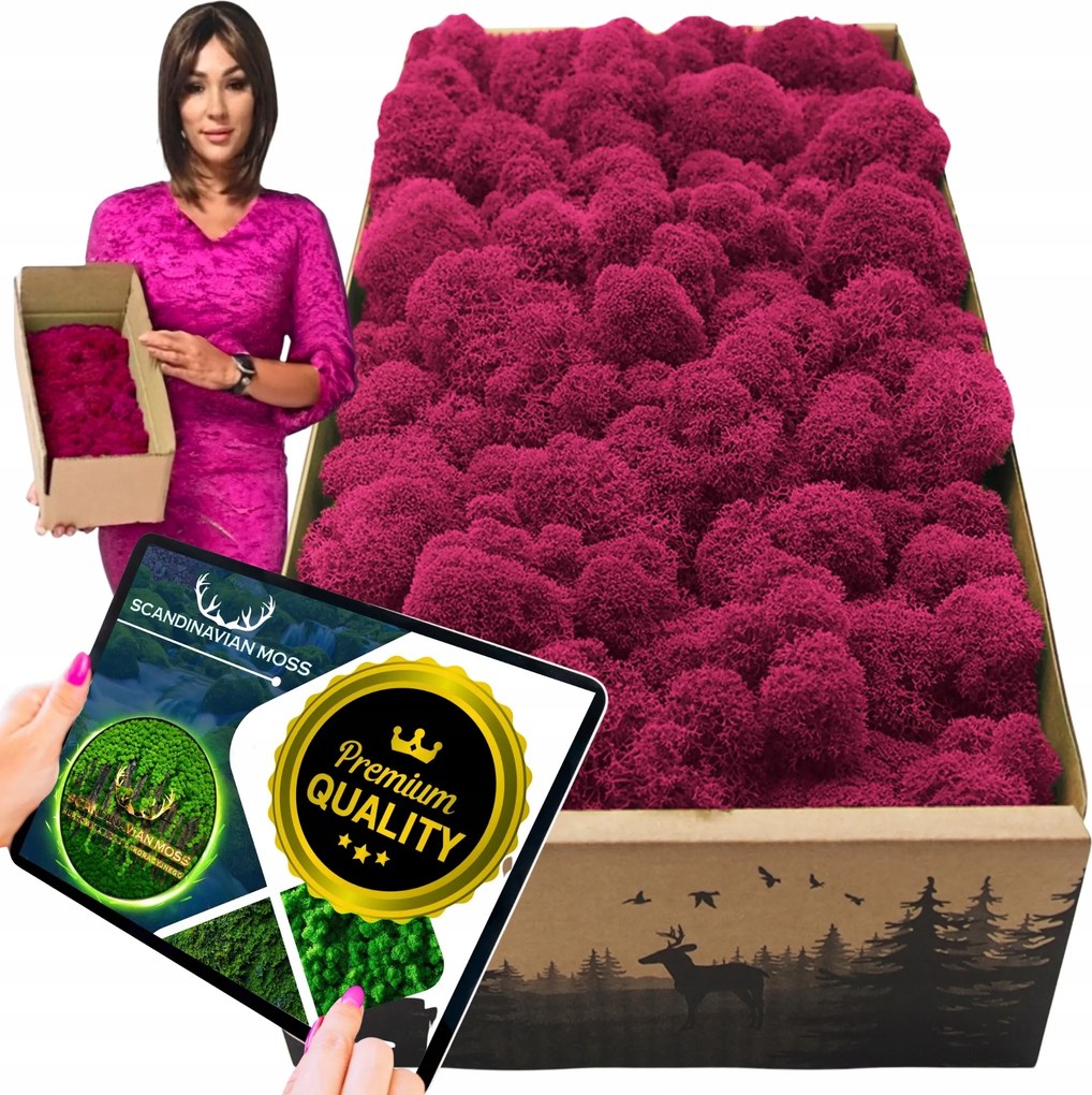 Rénszarvas Moha finn 500g Dekoratív Prémium élő dísz