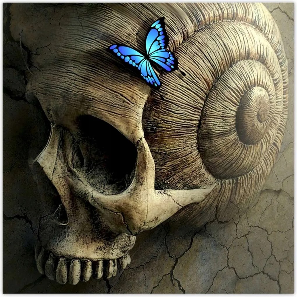 Poszter 70x70 Pillangó mintás kék