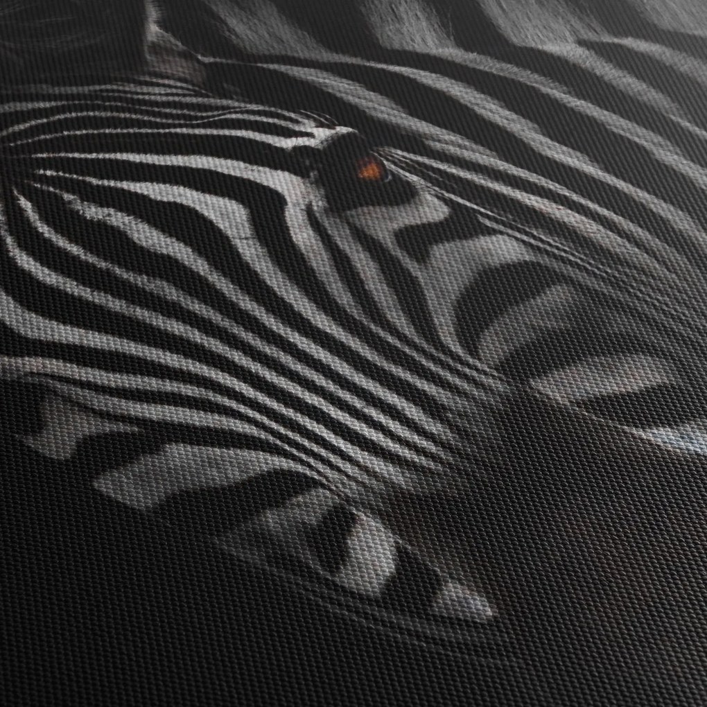 Zebra képe (90x60 cm)