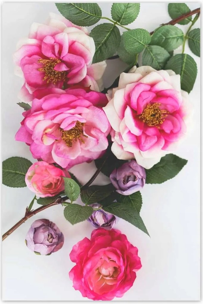 Poszterek 80x120 Virágok Virágkötészet