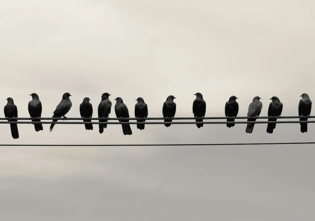 Poszter 66,5x46,5cm Konferencia a Magasságban