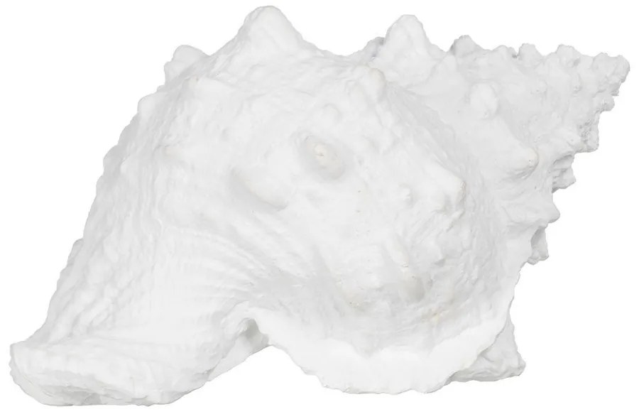 Poligyanta szobor (magasság 12 cm) Seashell – Ixia