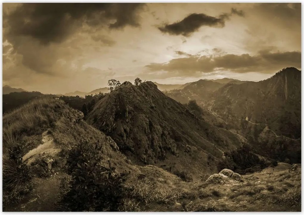 Poszterek 100x70 Barna tájkép Tájkép