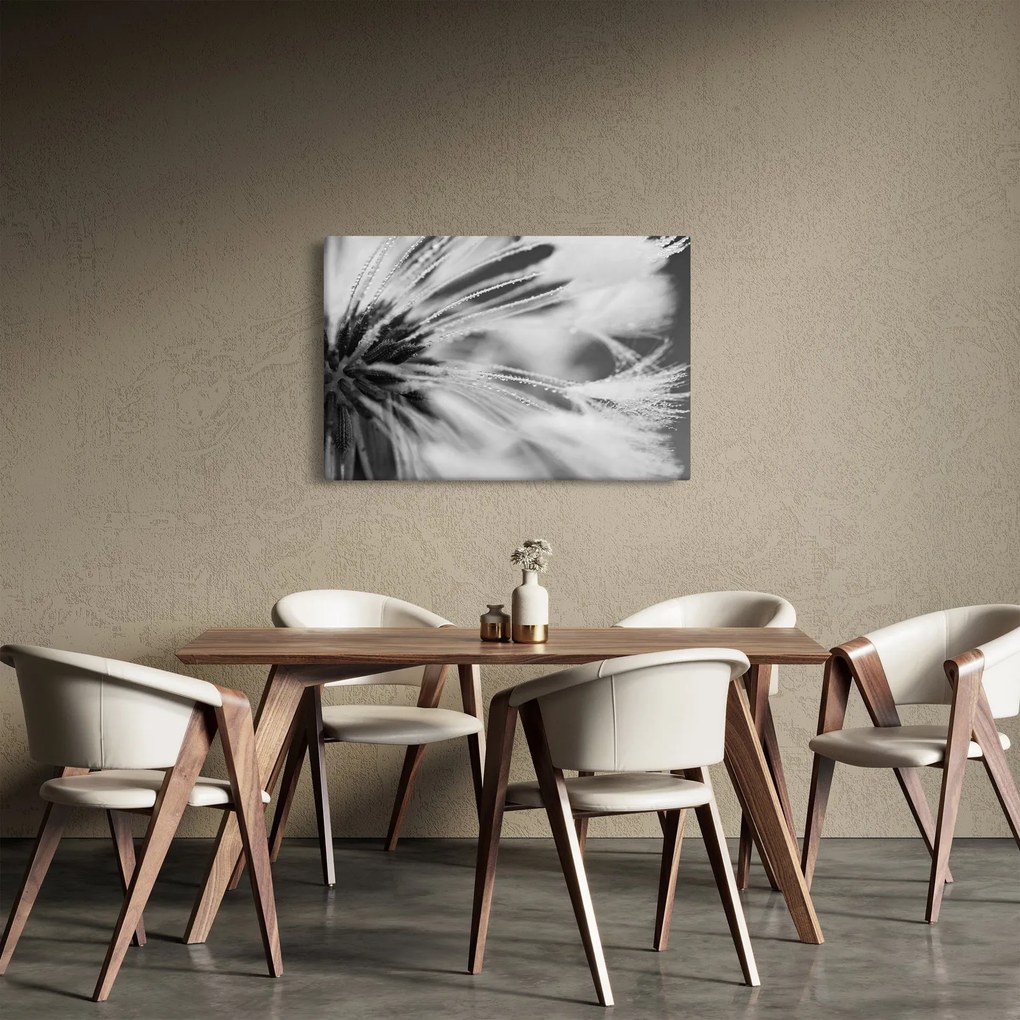 Kép - Makró, fekete-fehér (90x60 cm)