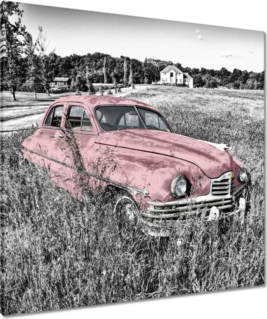 Vászonkép 80x80 Rózsaszín nagymama Antik