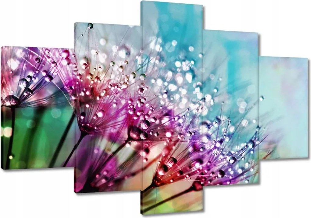 Vászonkép 120x80 Harmatcseppek Pitypang