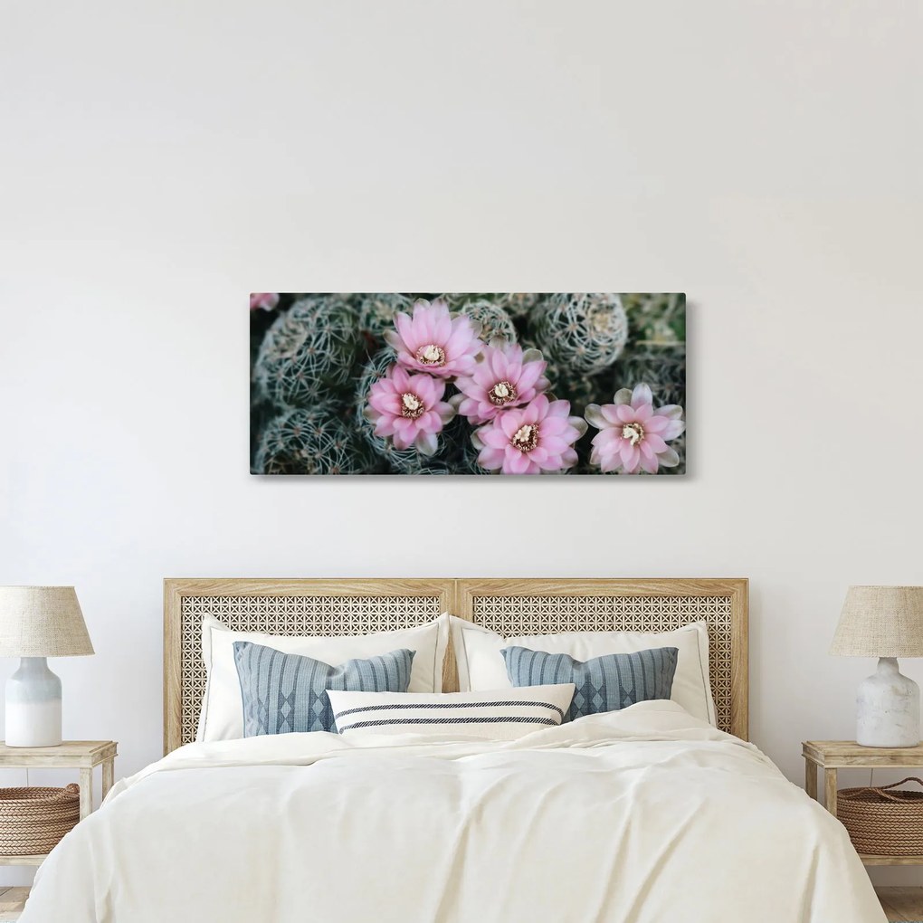 Kaktusz virágának képe (120x50 cm)