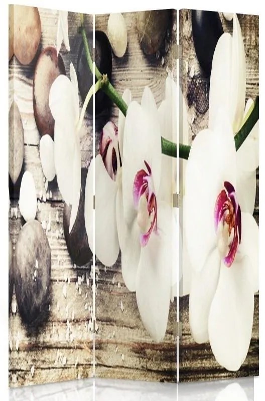 Gario Paraván Diszkrét orchidea bájjal Méret: 145 x 170 cm, Kivitelezés: Klasszikus paraván