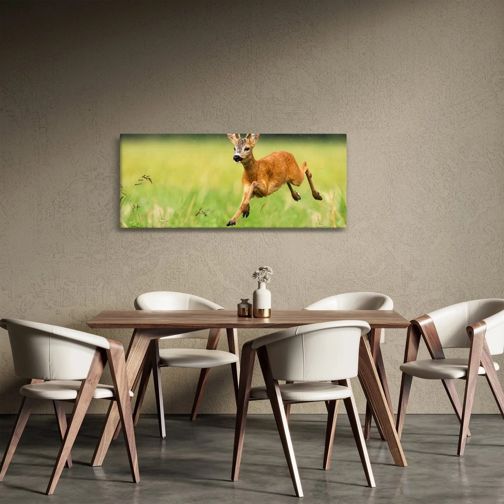 Kép - Őz (120x50 cm)