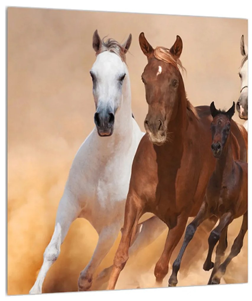 Lovas kép (30x30 cm)