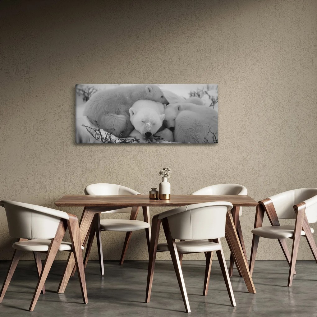 Kép - Jegesmedvék, fekete-fehér (120x50 cm)