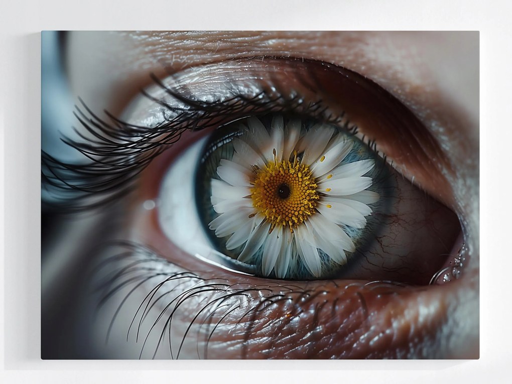 Vászonkép Canvas Szem Margaréta Virág Rét 80x60