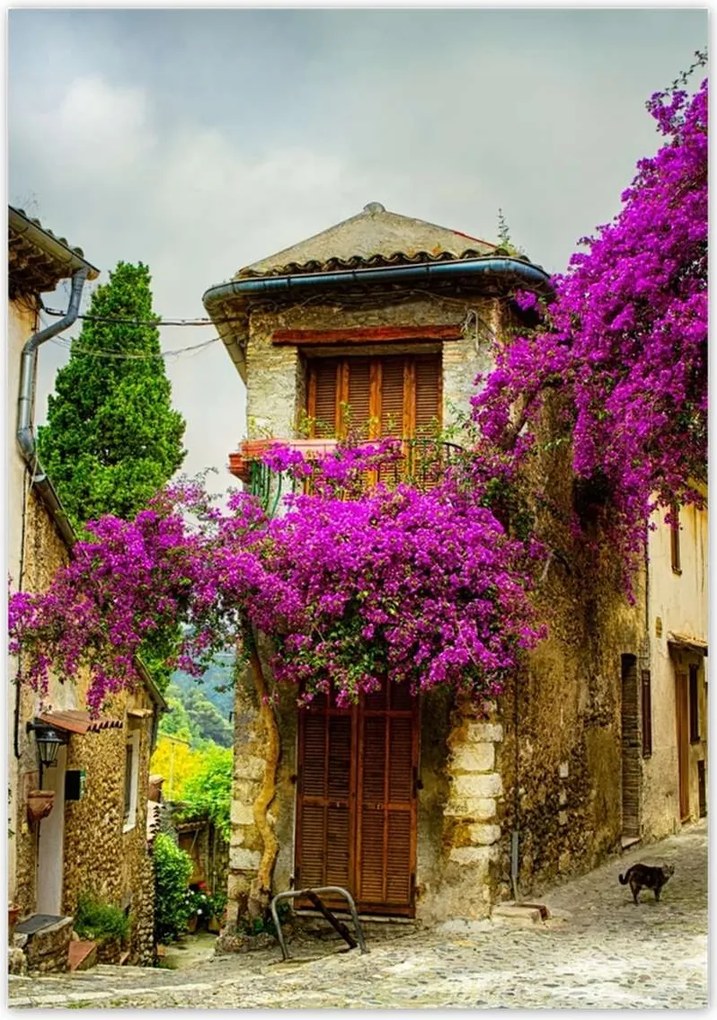 Poszterek 70x100 Régi kövek