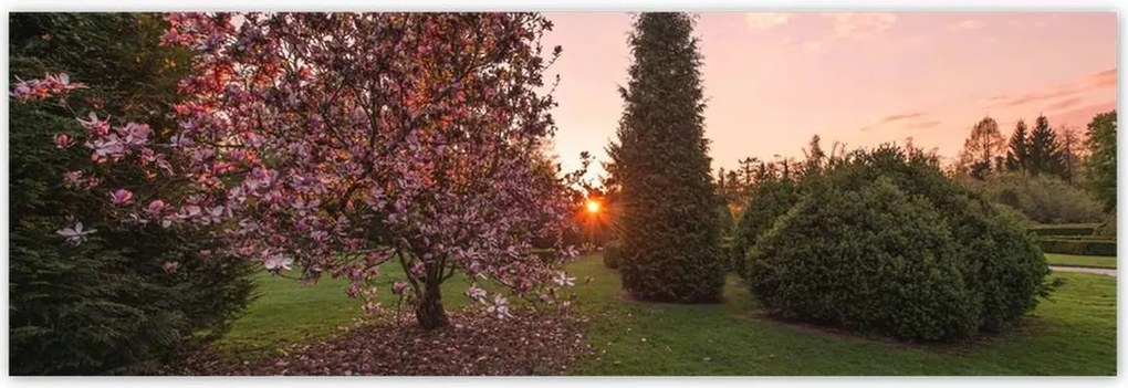 Poszterek 200x66 Kilátás Tájkép