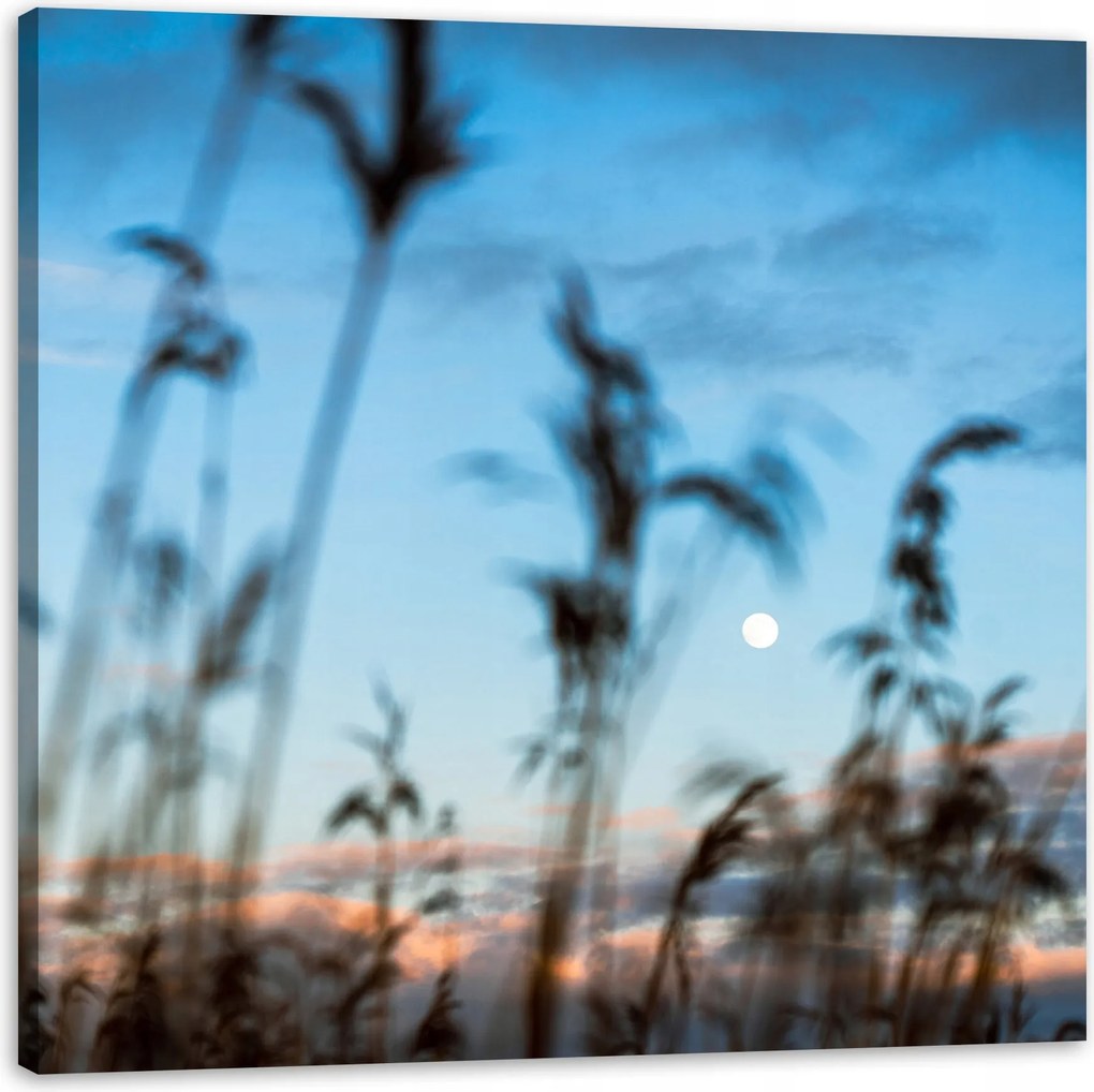 Vászonkép Természet Mező Rét Napfelkelte 90x90