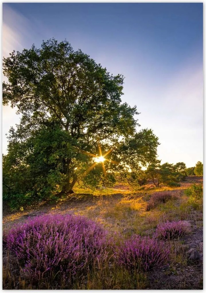 Poszterek 70x100 Tájkép Látvány