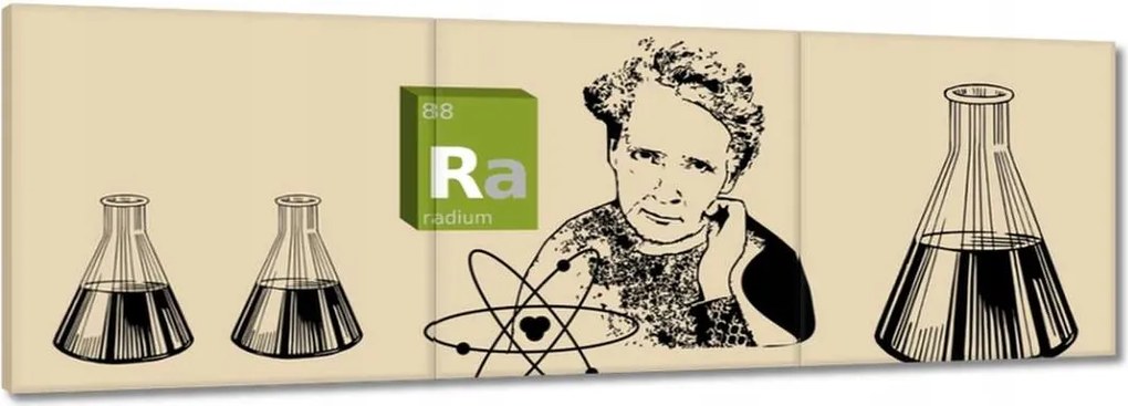 Festmények 120x40 Maria Skłodowska-Curie