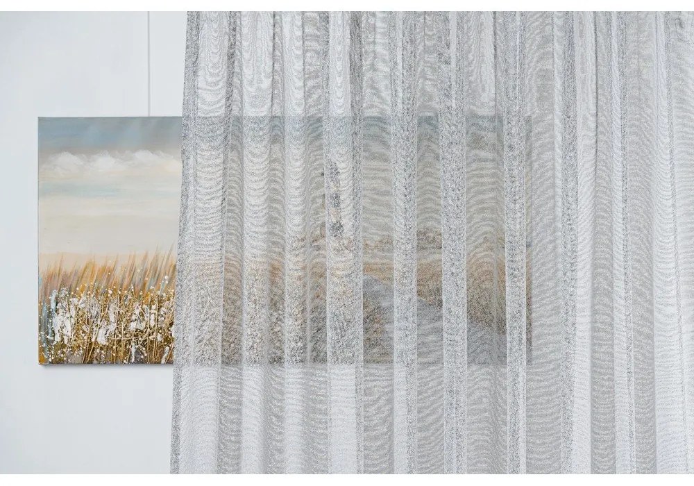 Szürke átlátszó függöny 300x245 cm Carmine – Mendola Fabrics