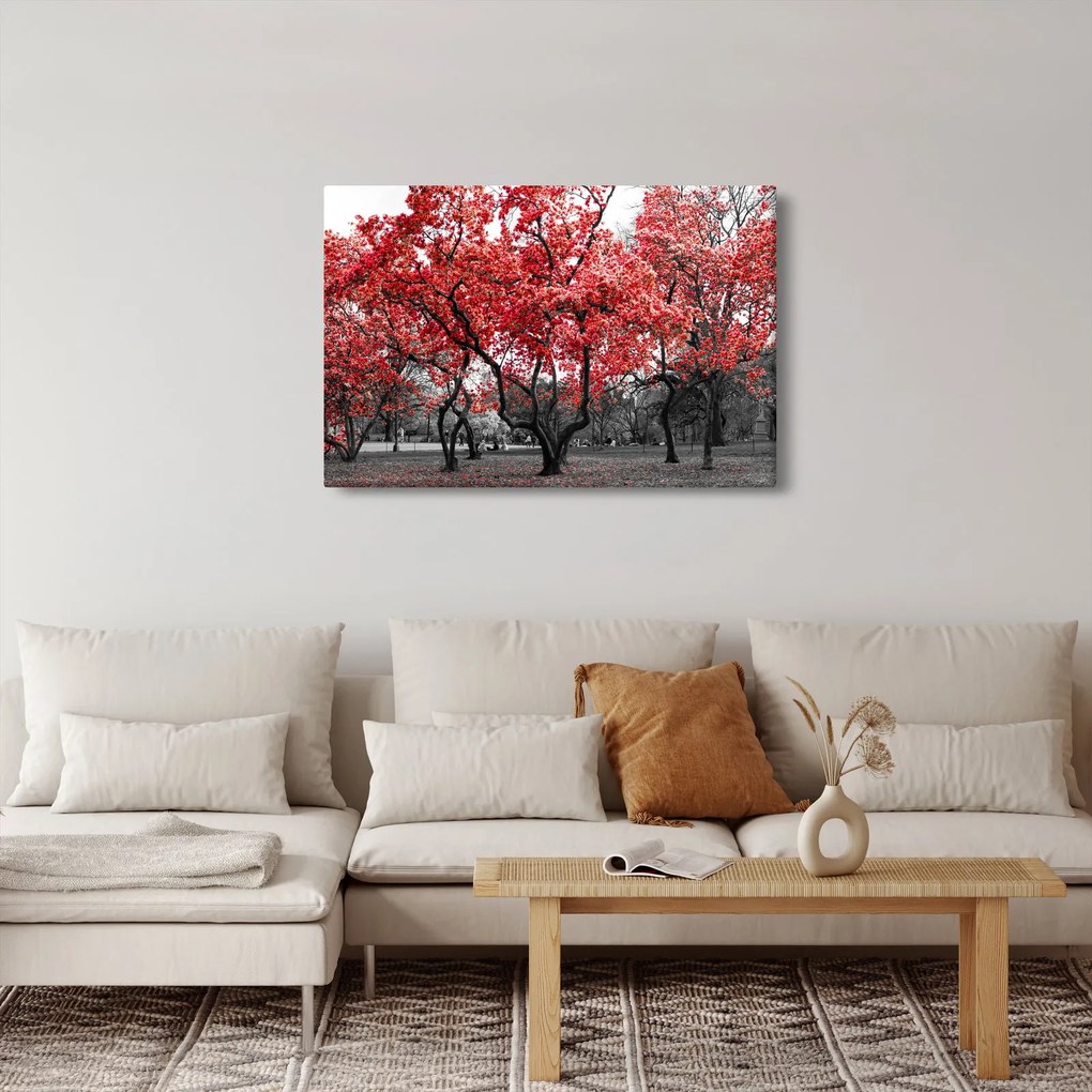 Kép - vörös fák, Central Park, New York (90x60 cm)