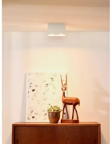 Lucide 09101/02/31 - Spotlámpa BODI 2xGU10/50W/230V