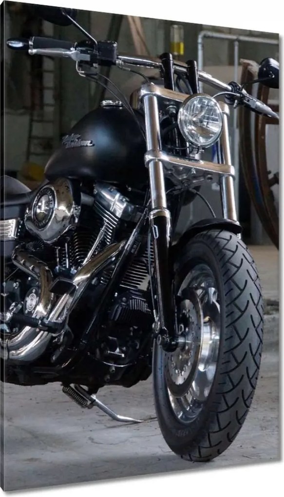 Festmények 80x120 Harley Davidson