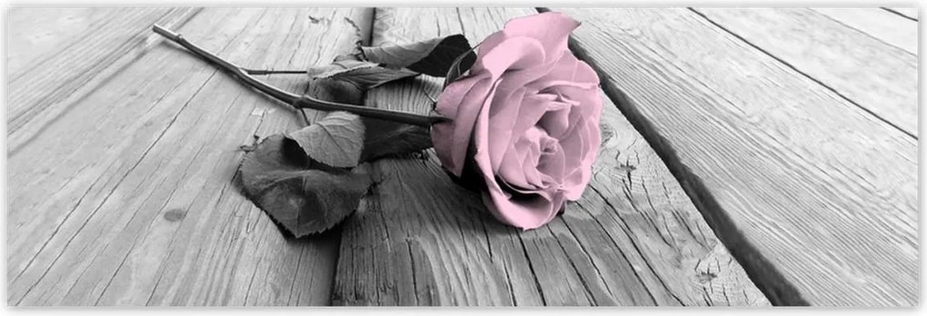 Poszterek 200x66 Púderrózsaszín Old pink Rose