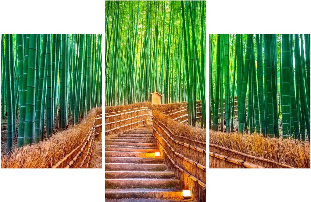 Kép - Japán bambusz erdő (90x60 cm)