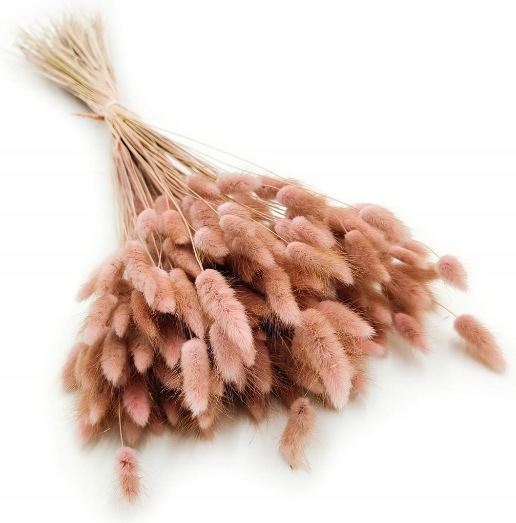 Szárított Lagurus Tojáshéj antik rózsaszín 150db