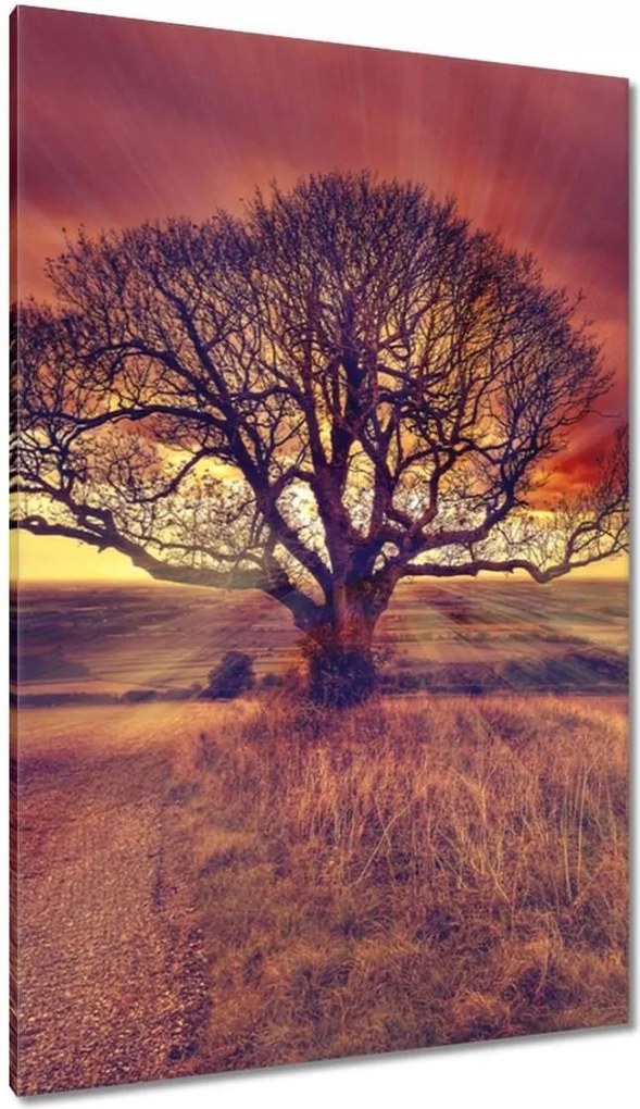 Festmények 80x120 Fa