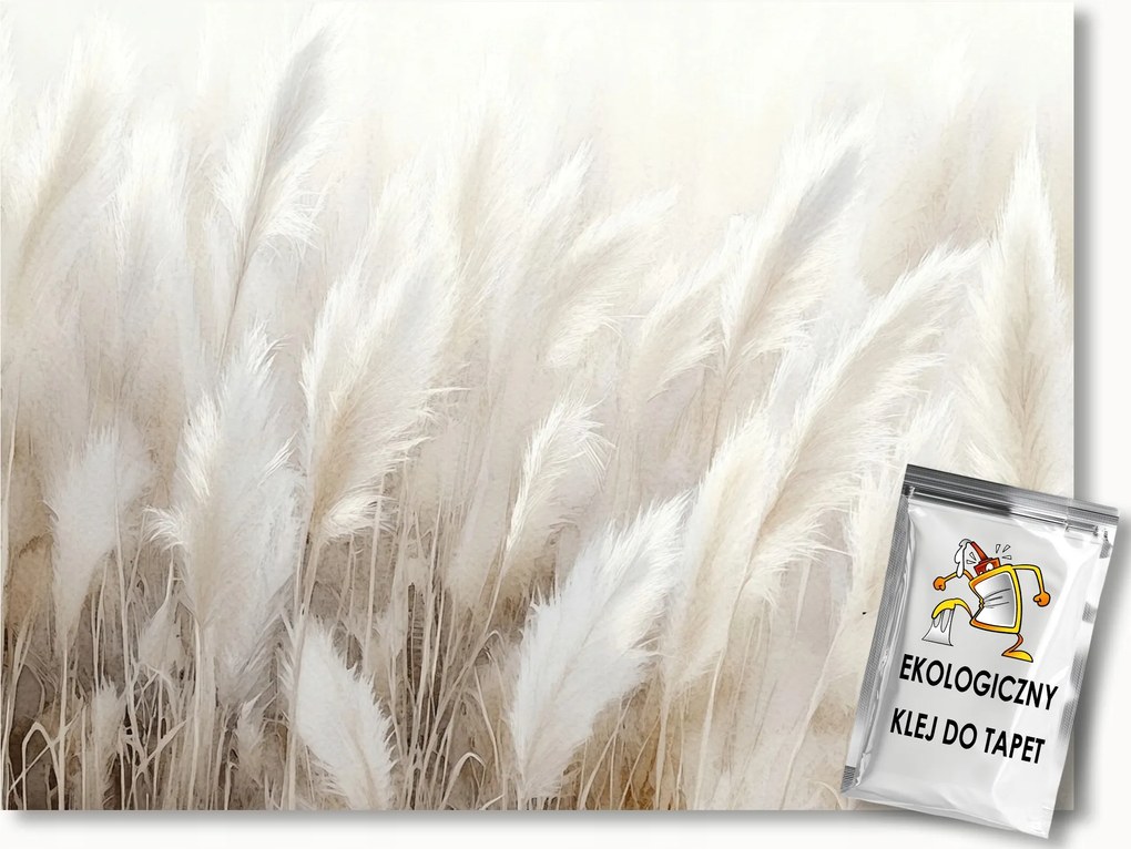 Fotótapéta Flizelina Természet Pampafű Pehely Boho Scandi 208x146 ragasztó