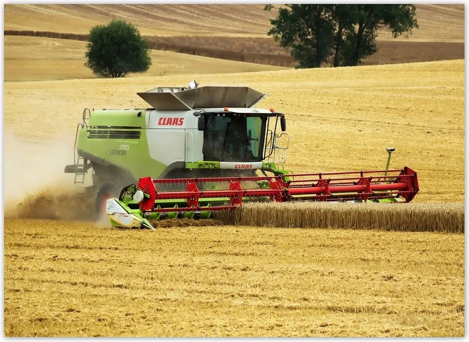 Fotótapéta flizelina 254x184 Kombájn Aratás