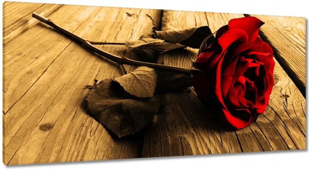 Vászonkép 115x55 Rózsa szépia deszkákon