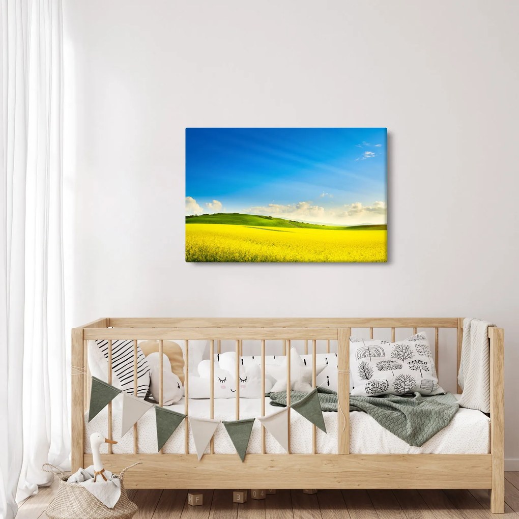 Kép - Tavaszi ég (90x60 cm)