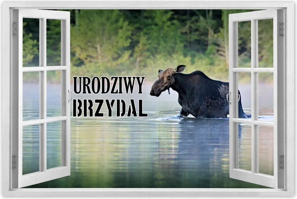 Poszter 60x40 Csúnya jávorszarvas