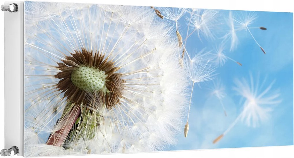 Mágneses Radiátorszőnyeg 120x60 Virágok Fotótapéta