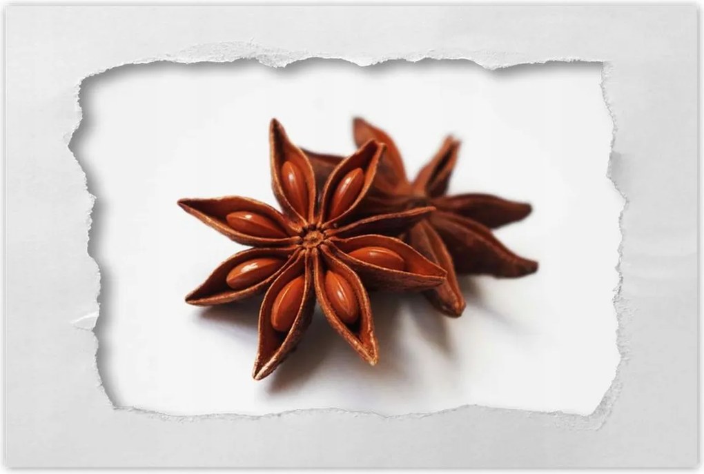 Poszterek 90x60 Ánizs csillag Ánizs