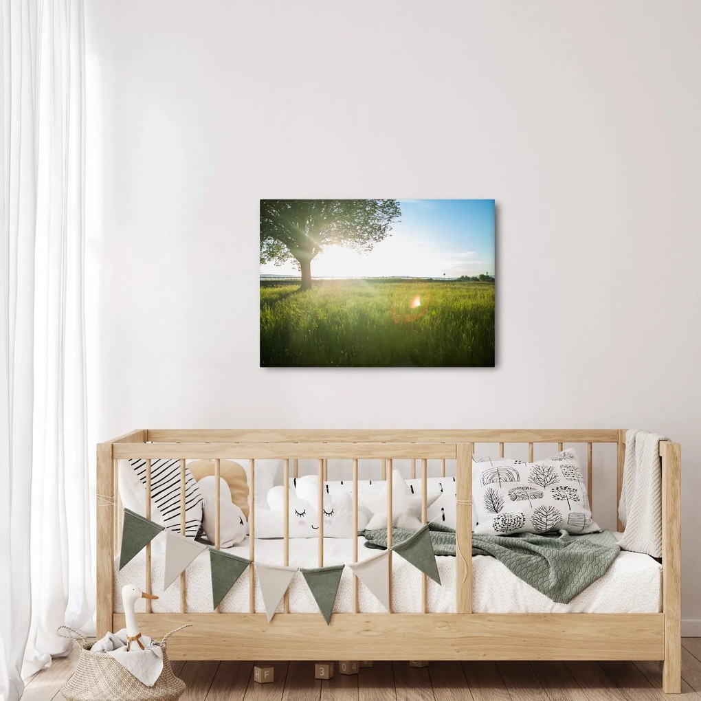 Nyári rét képe (70x50 cm)