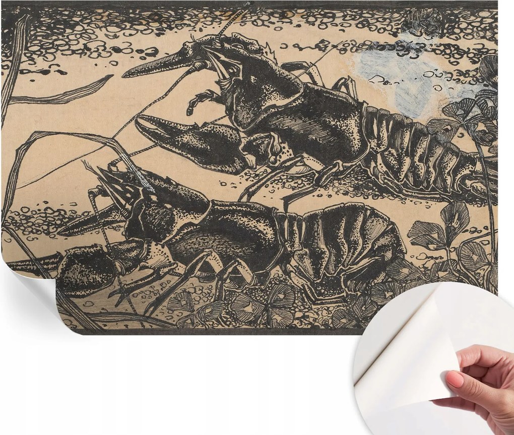 Fotótapéta Dekoratív Fali Tapéta Vízi Rákok Képekkel 104x70 cm