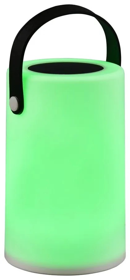 Napelemes LED kültéri lámpa (magasság 21 cm) Garcia – Reality