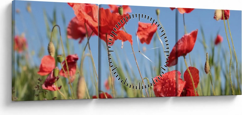 Kép - Pipacsok (órával) (90x30 cm)