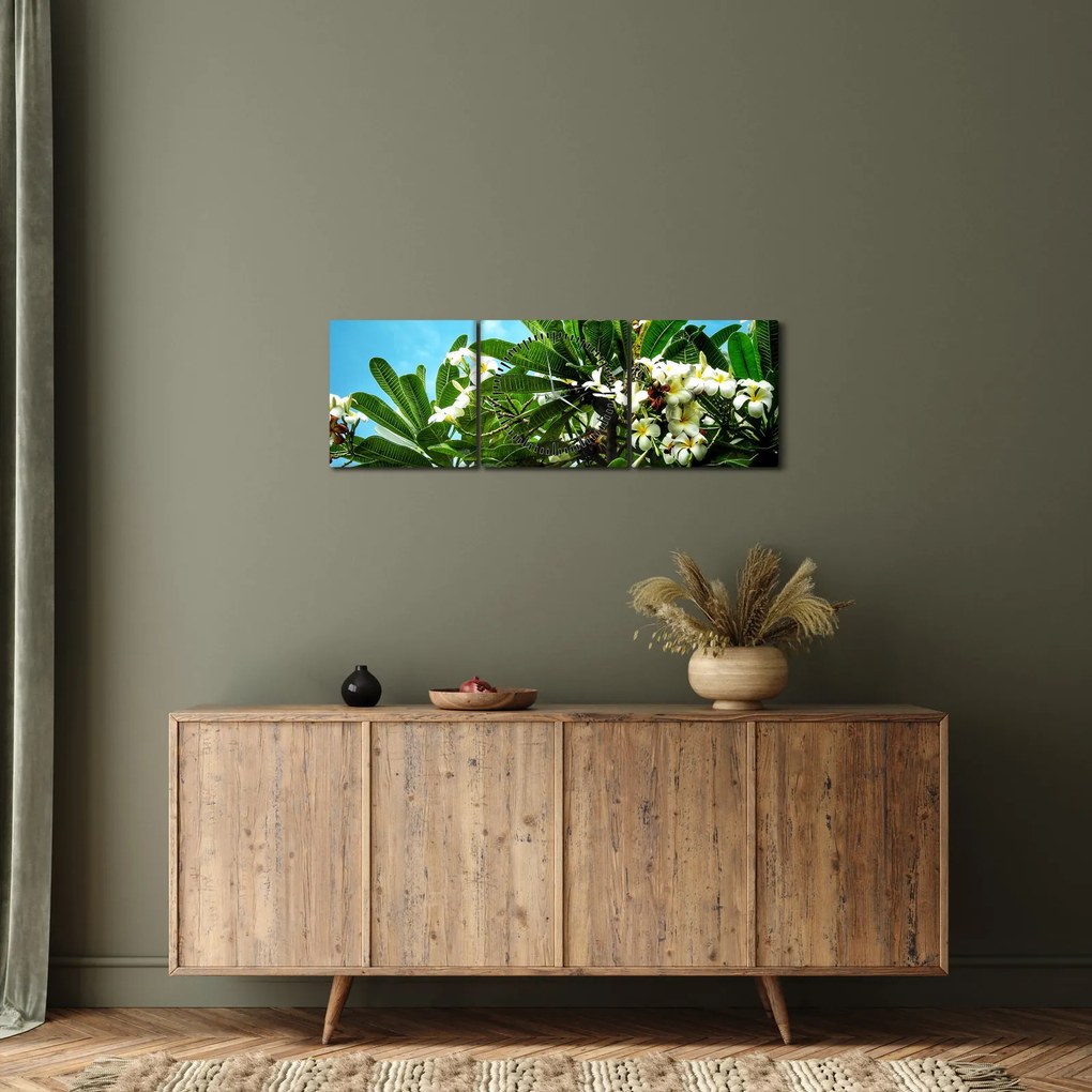 Kép - Plumeria (órával) (90x30 cm)