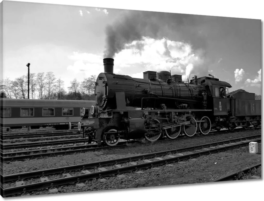 Vászonkép 90x60 Wolsztyński gőzmozdony TR565