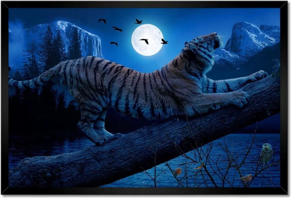 Poszterek keretben 60x40 Tigris az ágon éjszaka